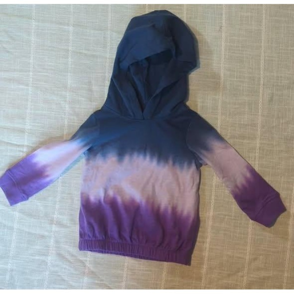Garanimals Toddler 12M Navy Purple Ombre Long Sleeve Hooded Tee‎ GTGF2149432